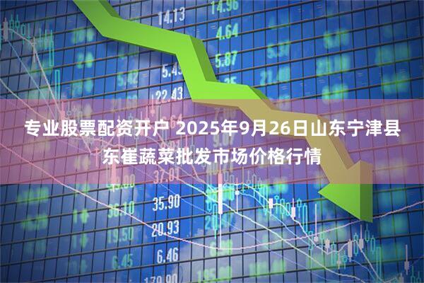 专业股票配资开户 2025年9月26日山东宁津县东崔蔬菜批发市场价格行情