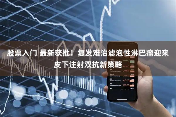 股票入门 最新获批！复发难治滤泡性淋巴瘤迎来皮下注射双抗新策略